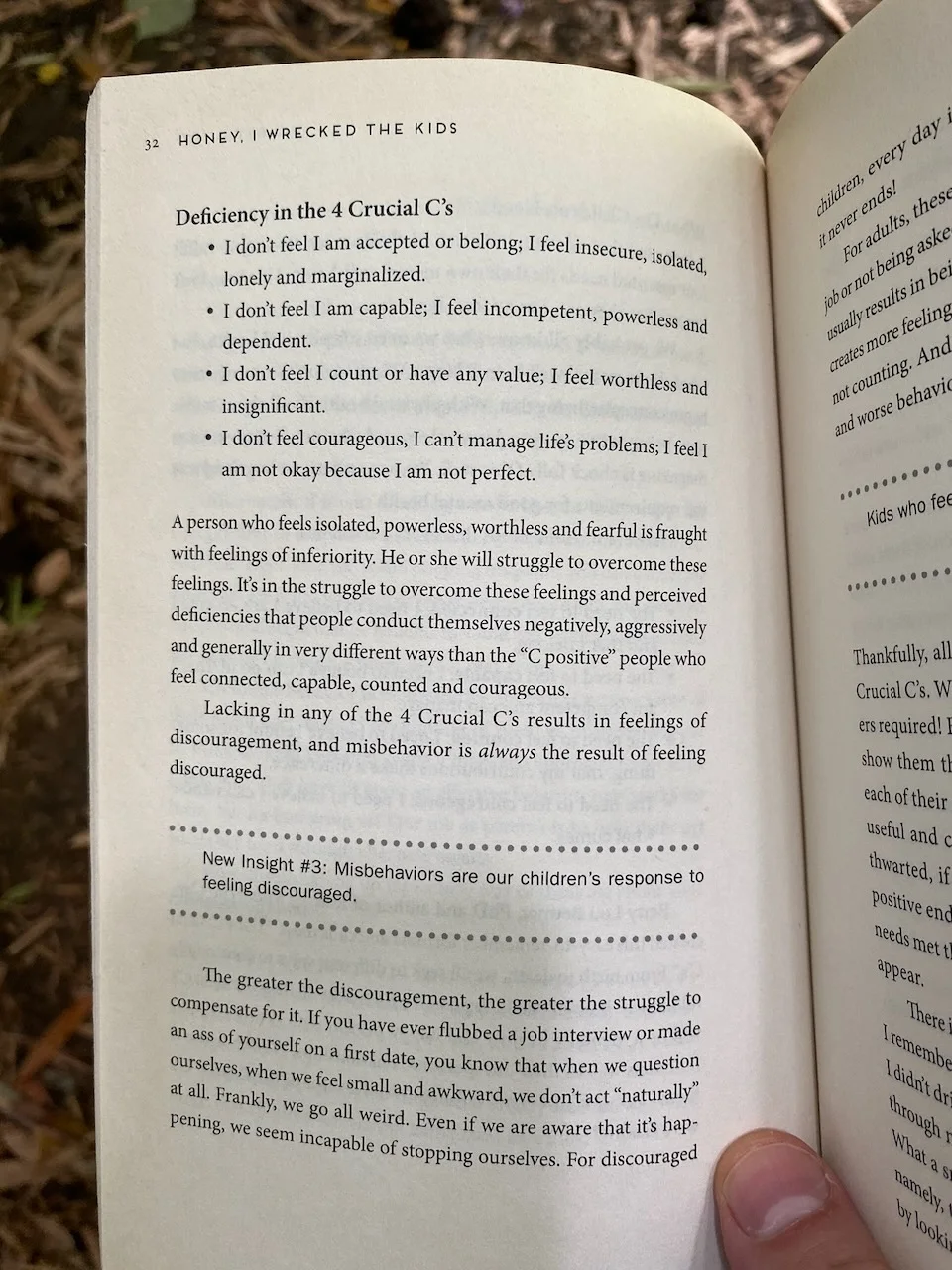 A page from Honey, I Wrecked the Kids by Alyson Schafer
