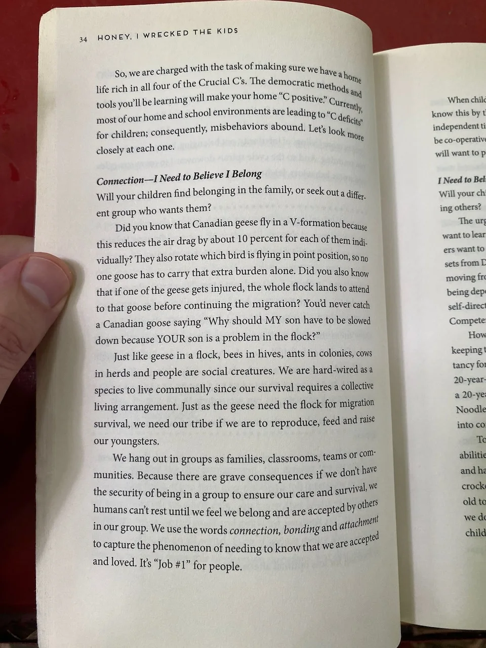 A page from Honey, I Wrecked the Kids by Alyson Schafer