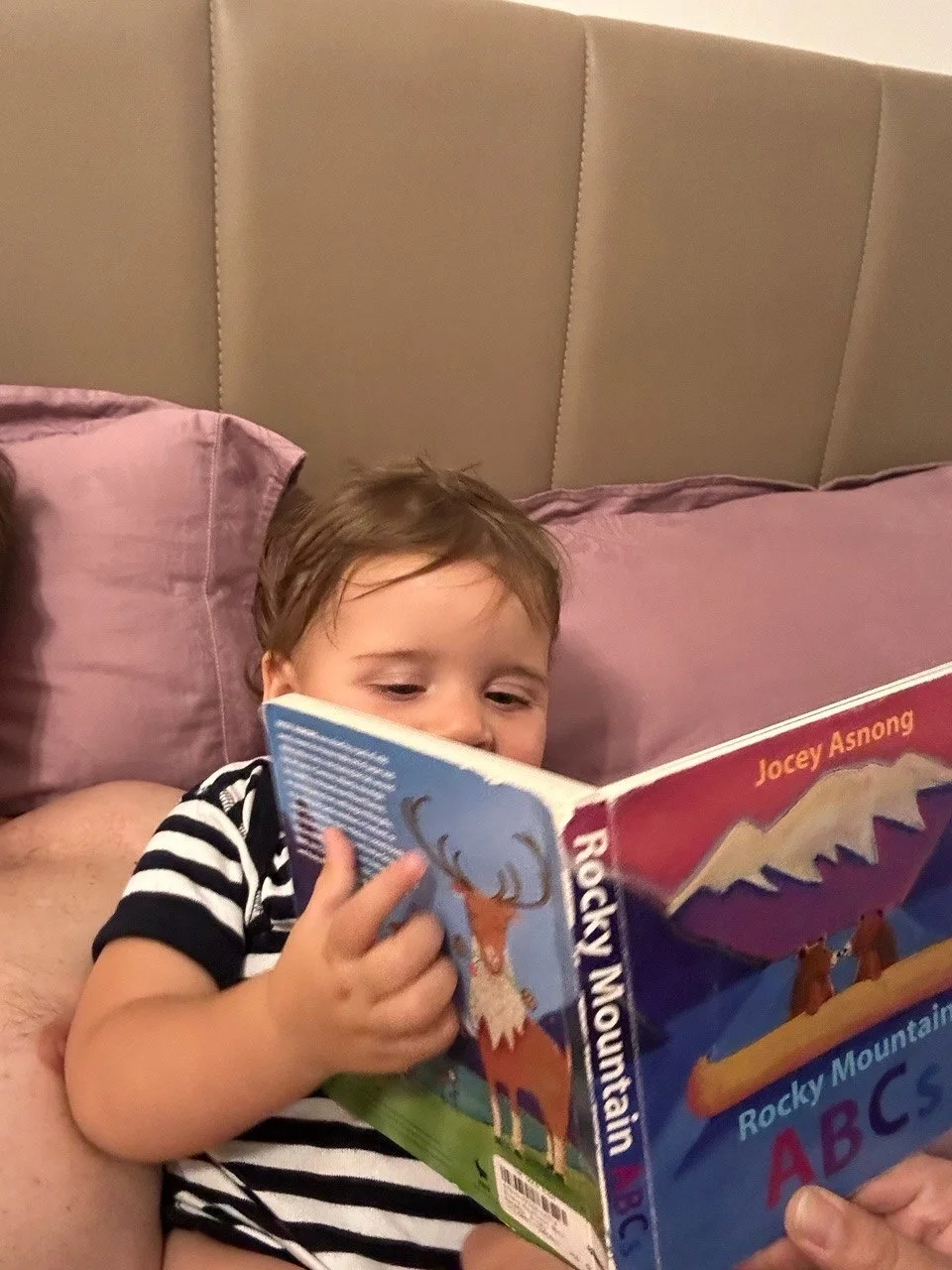 A small child reading the Rocky Mountain ABCs board book