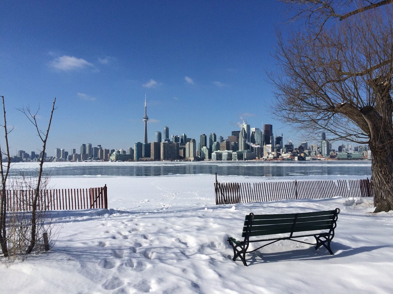 2. Toronto looking pretty in Winter