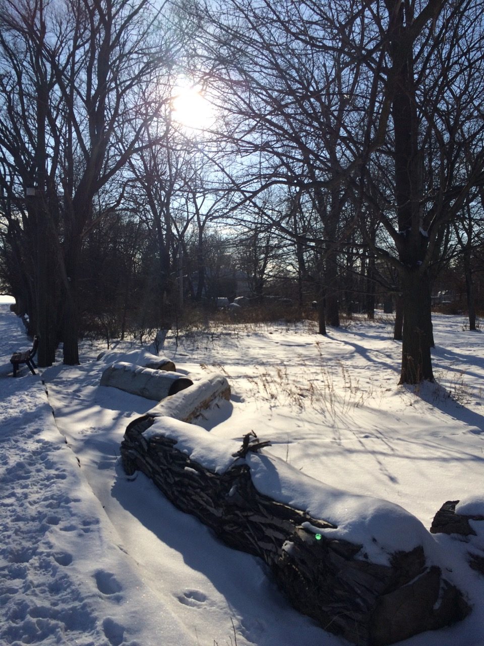 3. Wards Island Park covered in snow on a sunny winter day