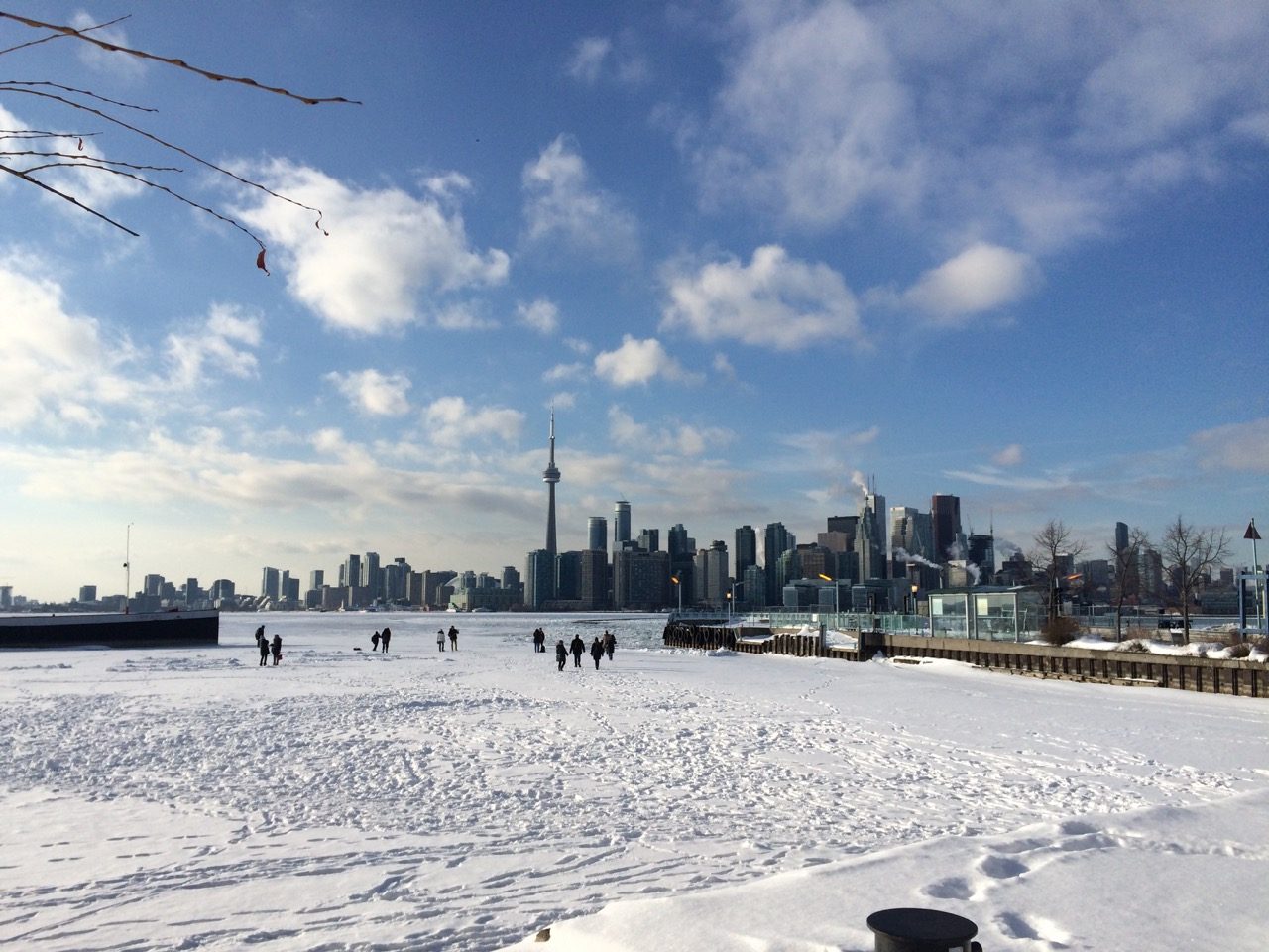 8. Looking at Toronto from Wards Island