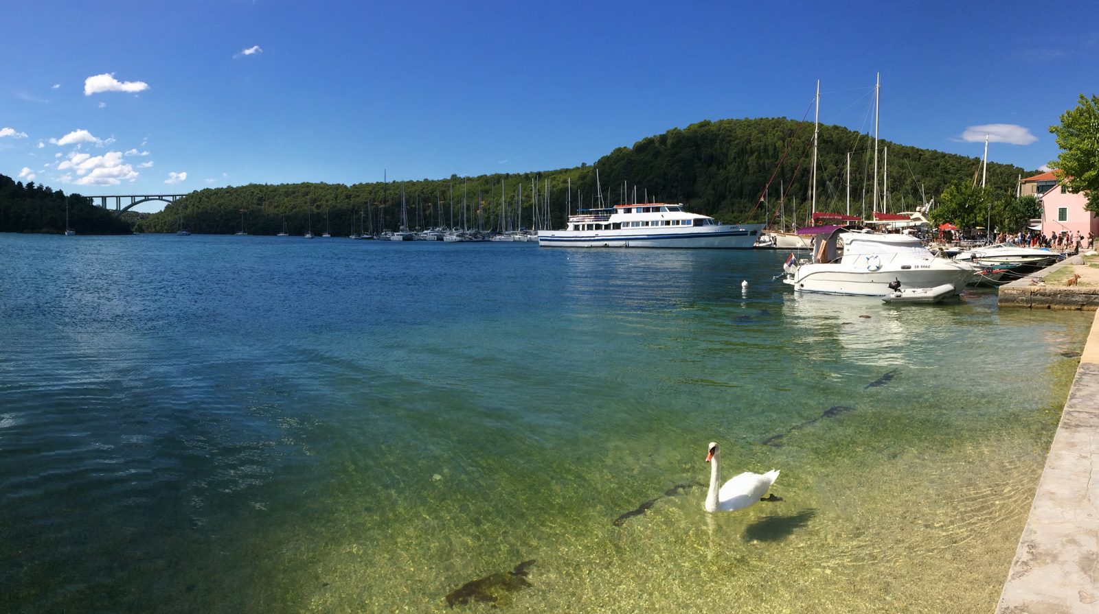 Krka National Park where you can take a cruise or a hike (if you prefer to get away from the crowds)