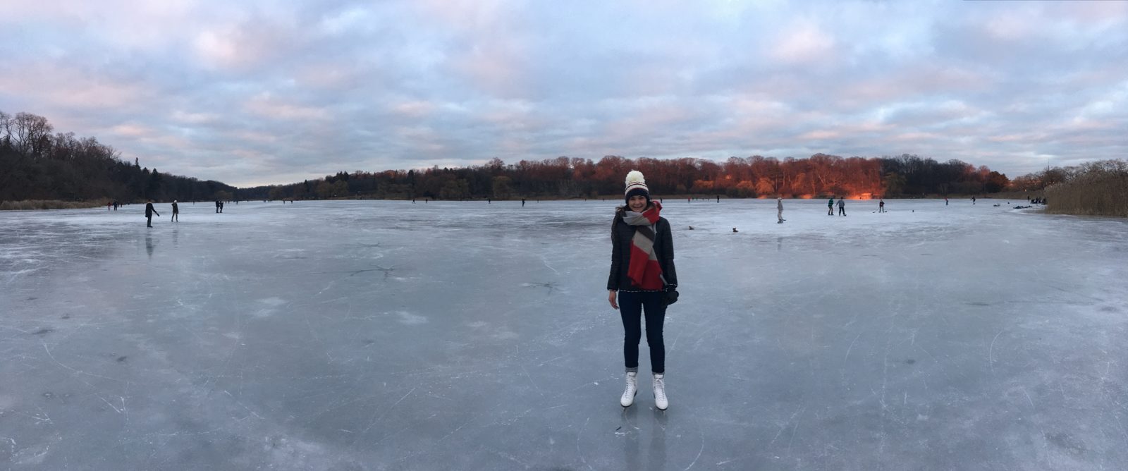An afternoon skating on Grenadier Pond in High Park