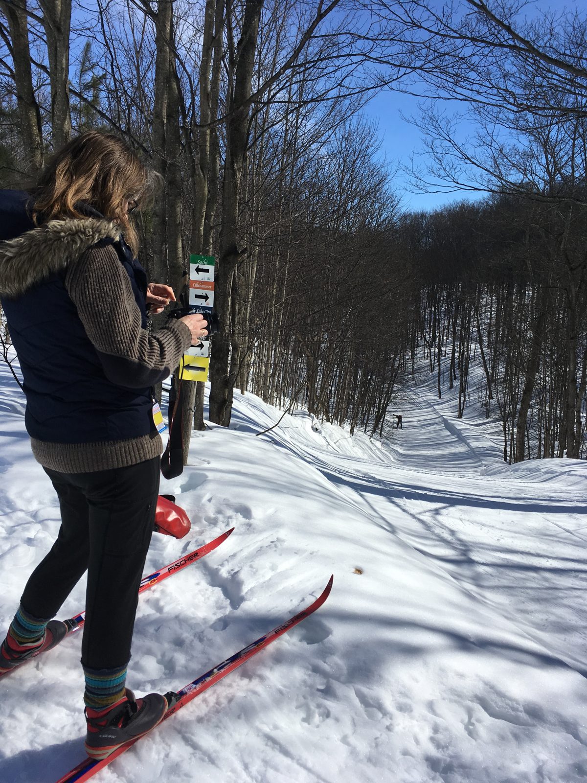 Cross country skiing in a local park an hour outside of Toronto