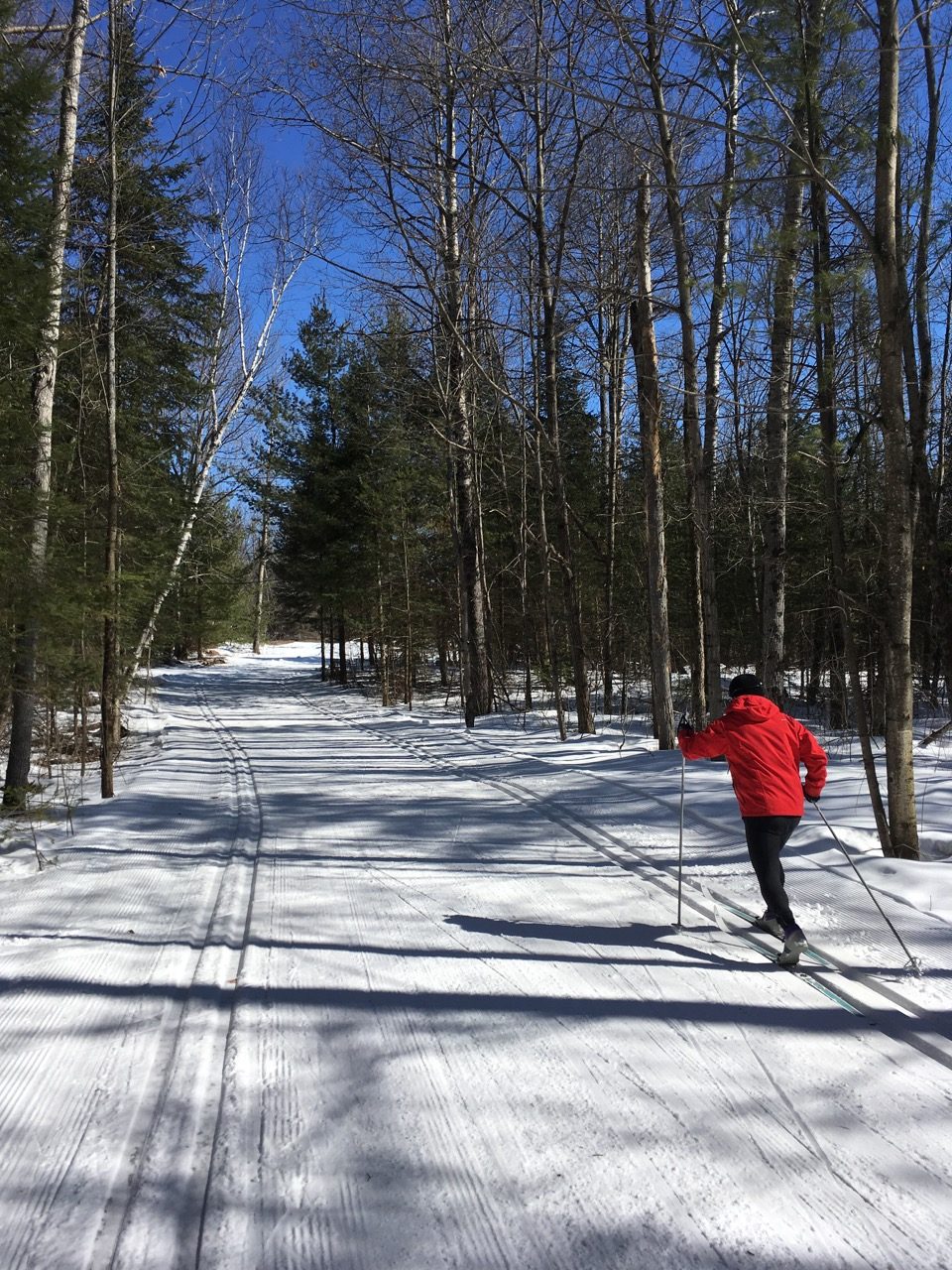 Cross country skiing in a provincial park two hours from Toronto