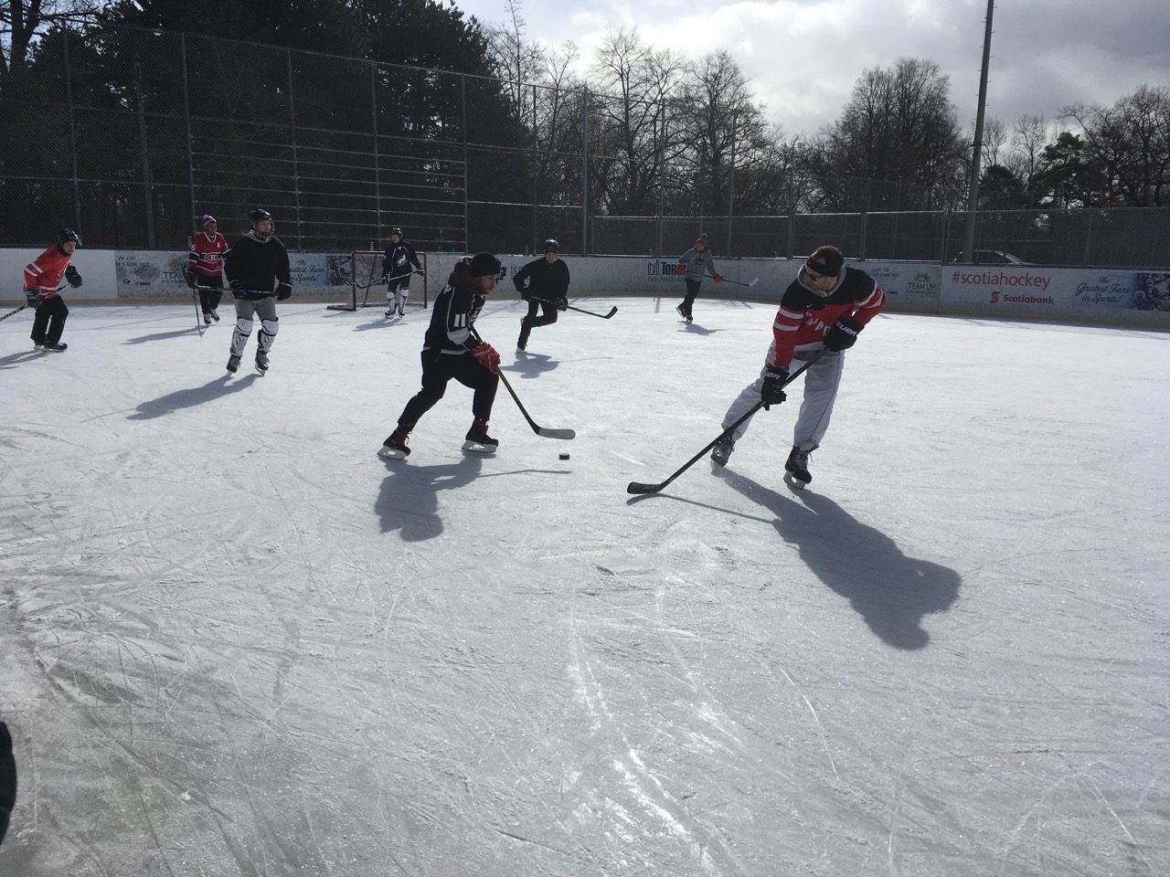 Free Shiny (Hockey games) on a Saturday morning in High Park