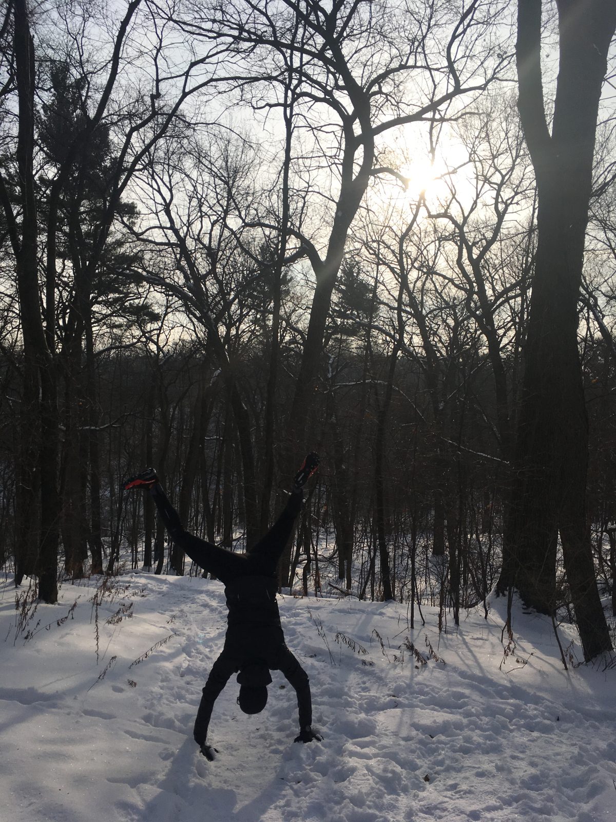 Happy trails in High Park