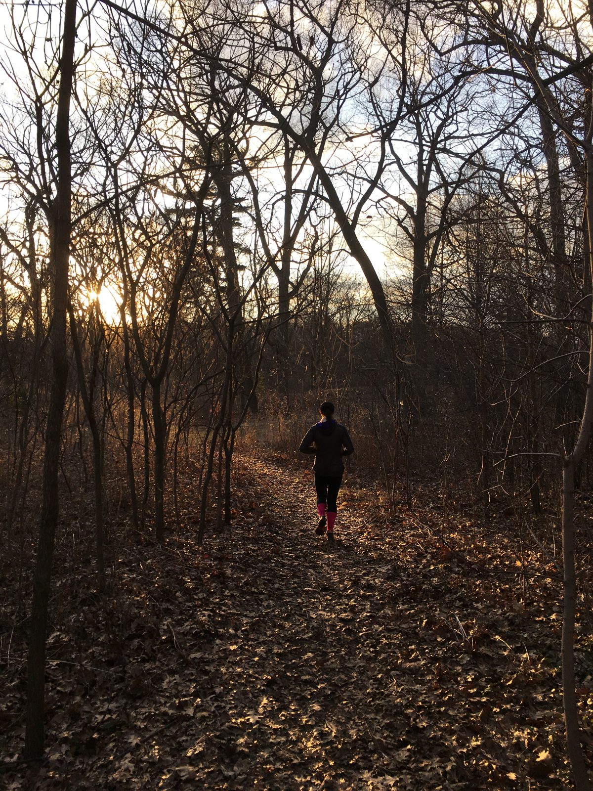 Late afternoon trail running in High Park