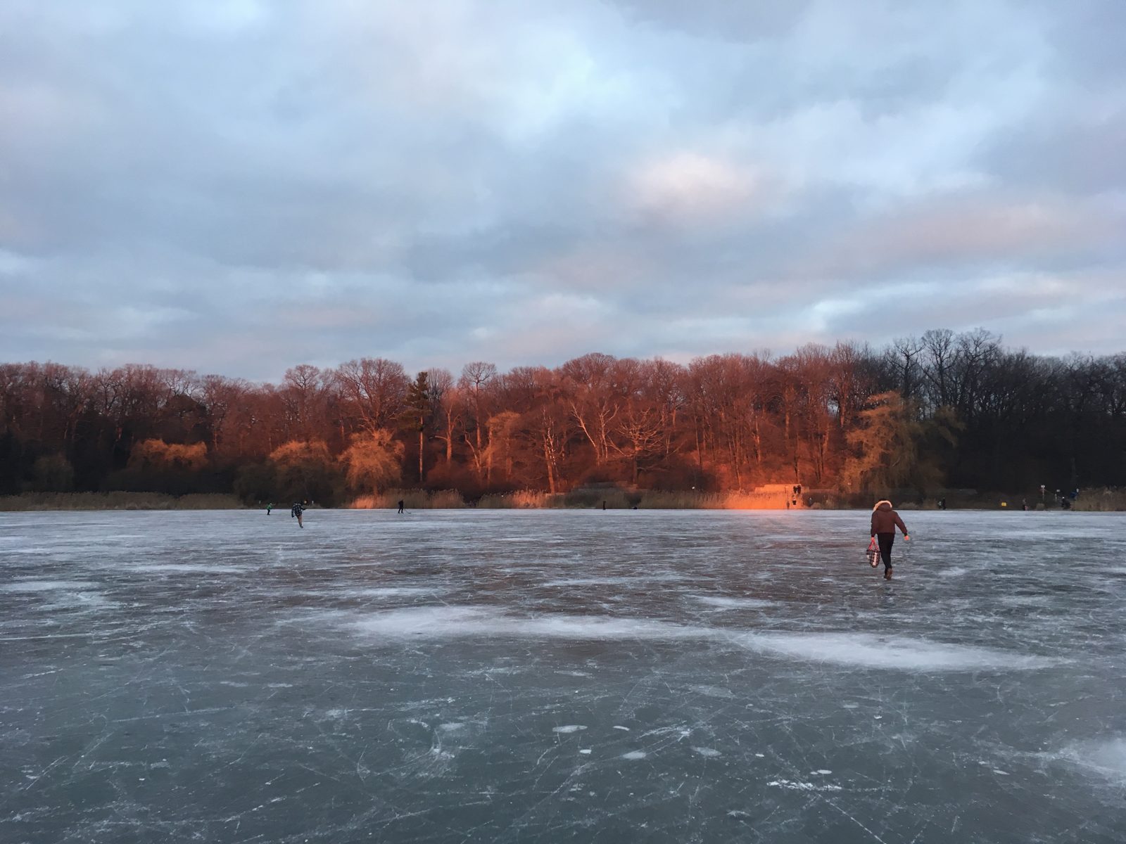 Later afternoon skating on Grenadier pond High Park