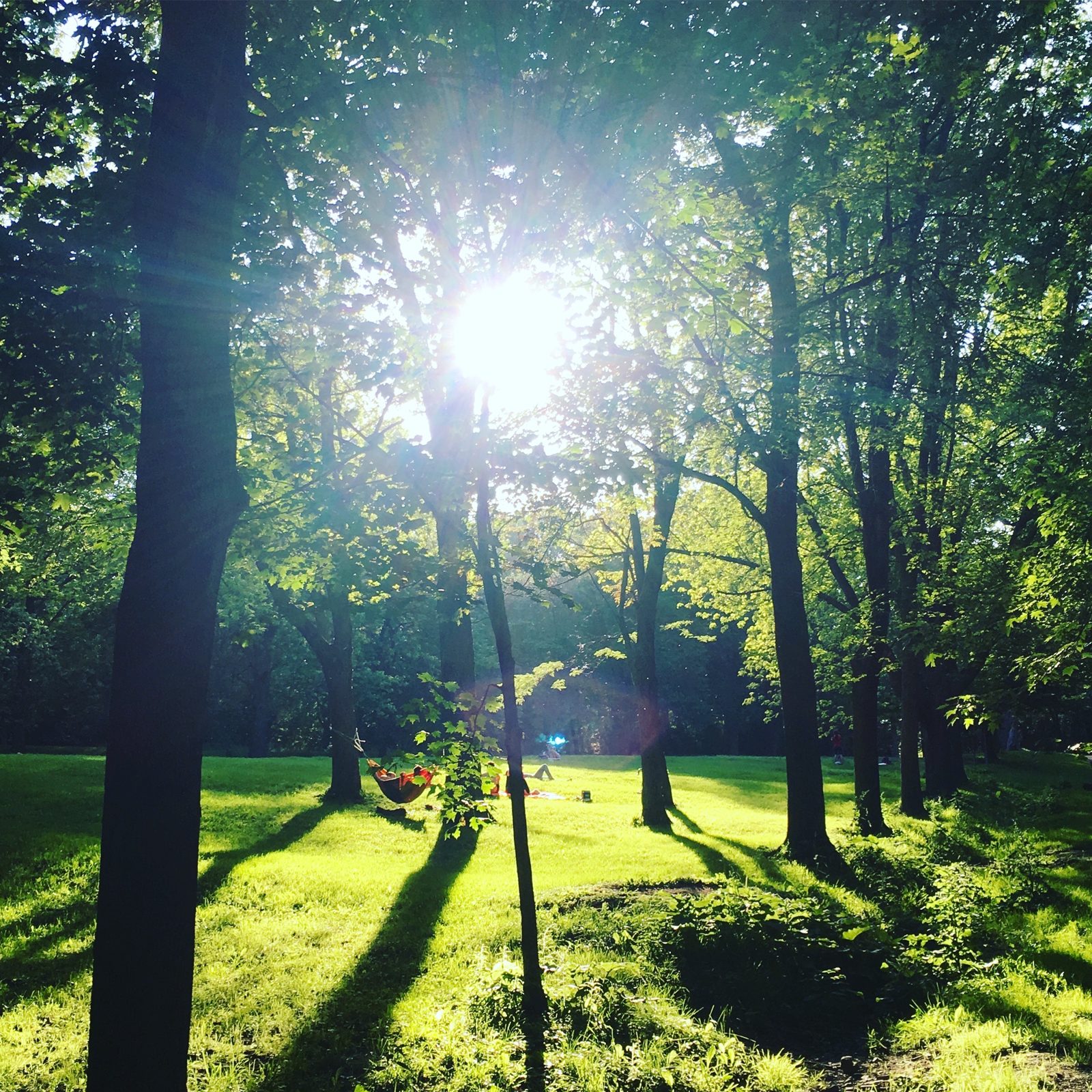 Parc du Mont-Royal provides respite from the city