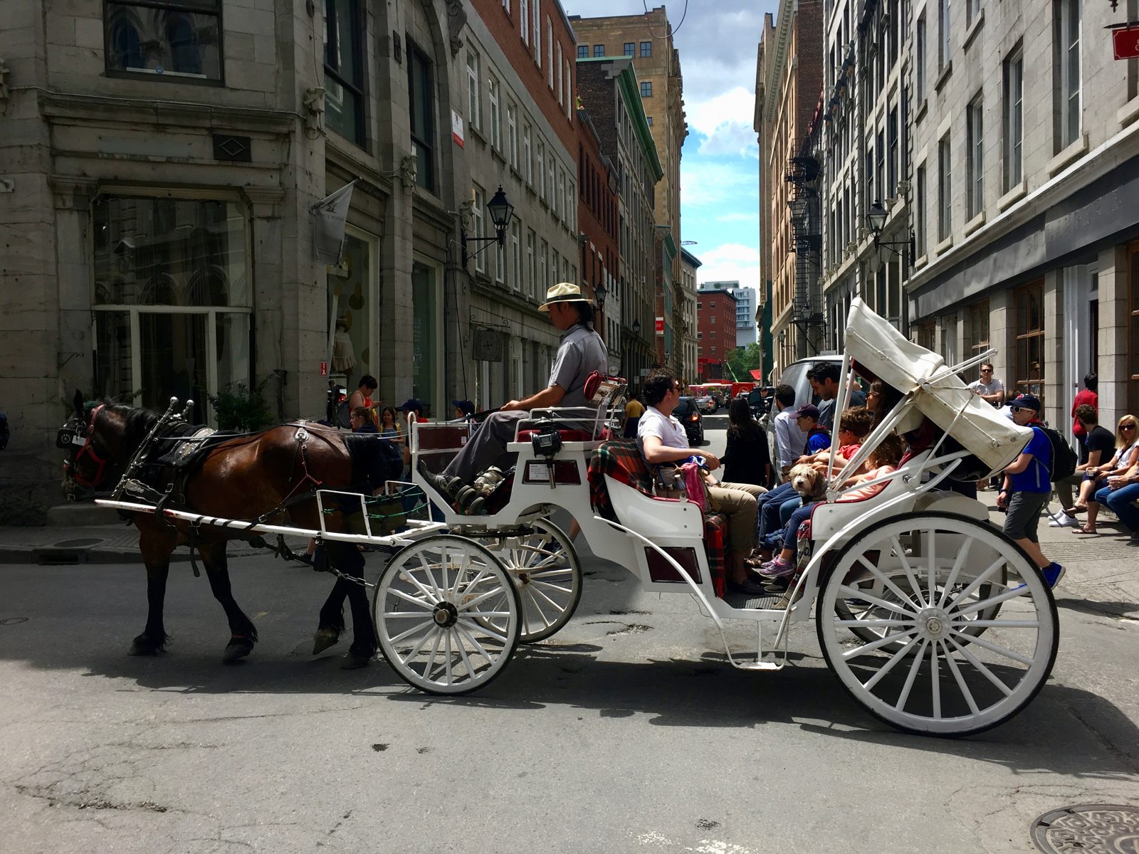 You could get a ride on a buggy in Old Montreal