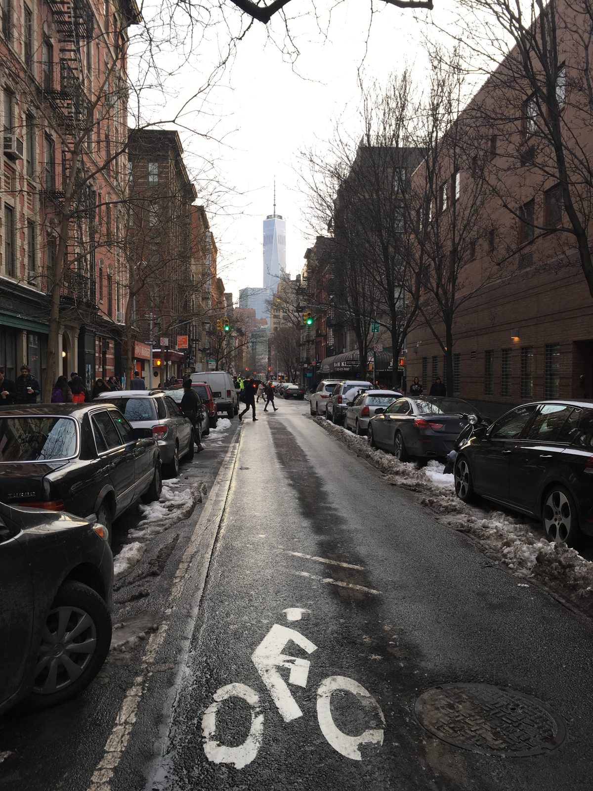New York city is a suprisingly good place to ride a bike even in winter