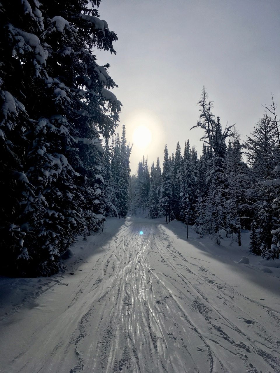One of the smaller ski runs in Sunshine Village