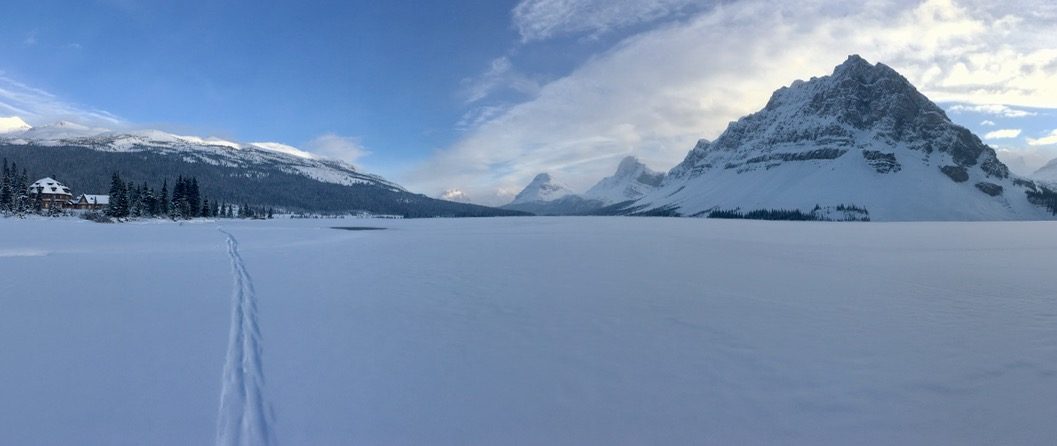 Skiing back across Bow Lake