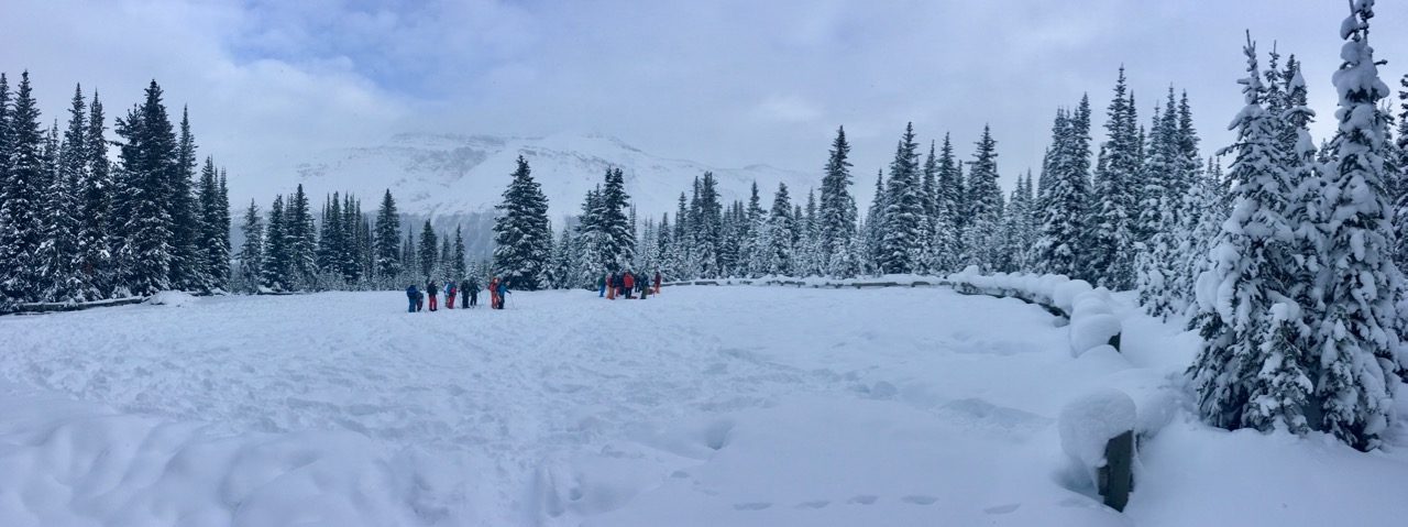 Two groups run through Avalanche Safety Training near Bow Mountain.jpg